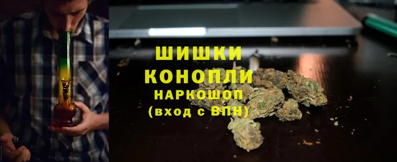 наркота  ссылка на мегу ссылка  Конопля THC 21%  Кашин 